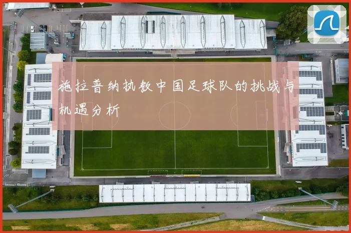 施拉普纳执教中国足球队的挑战与机遇分析